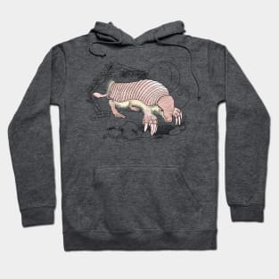 A Pink Fairy Armadillo under the moon - lavender background Hoodie